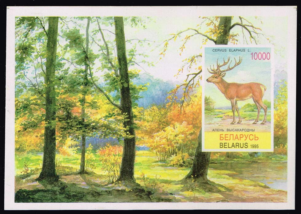 Belarus #134 Red Deer Souvenir Sheet; MNH Belarus #134 Red Deer Souvenir Sheet; MNH