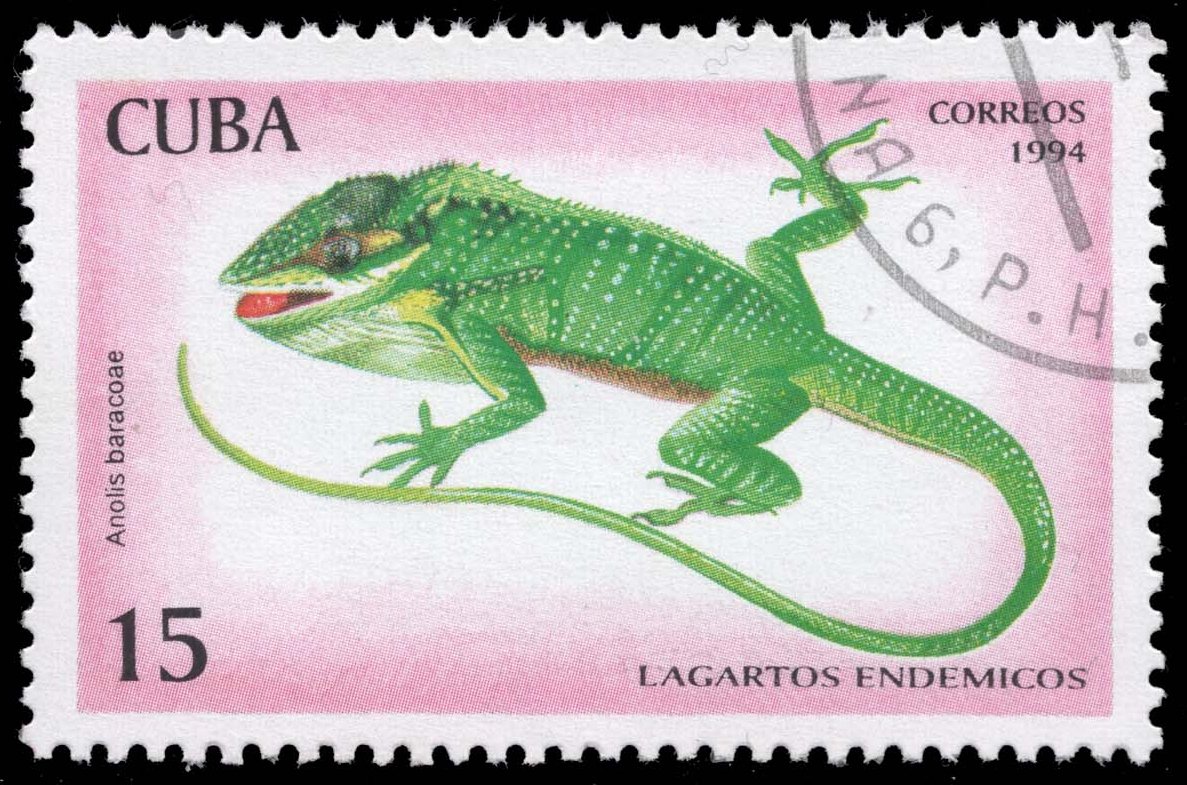 Cuba #3617 Baracoa Anole; CTO Cuba #3617 Baracoa Anole; CTO