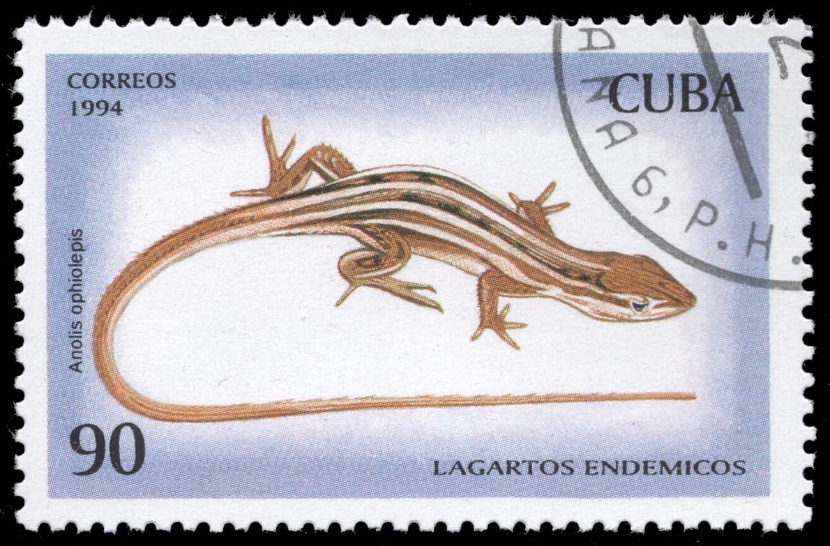 Cuba #3621 Five-striped Grass Anole; CTO Cuba #3621 Five-striped Grass Anole; CTO