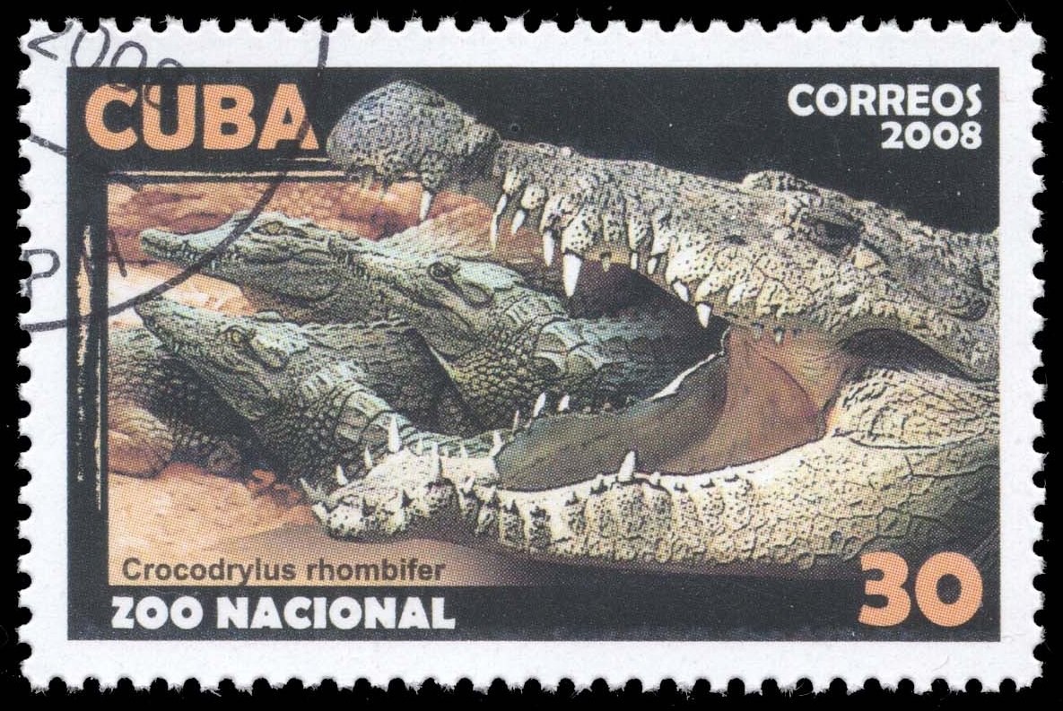 Cuba #4868 Cuban Crocodile; CTO Cuba #4868 Cuban Crocodile; CTO