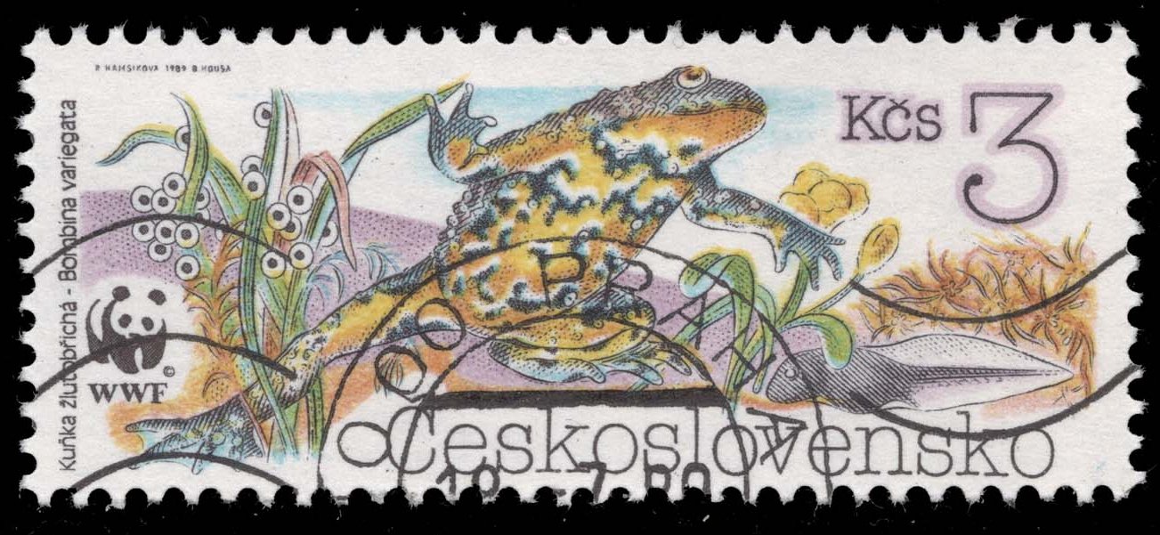 Czechoslovakia #2749 Yellow-bellied Toad; CTO Czechoslovakia #2749 Yellow-bellied Toad; CTO