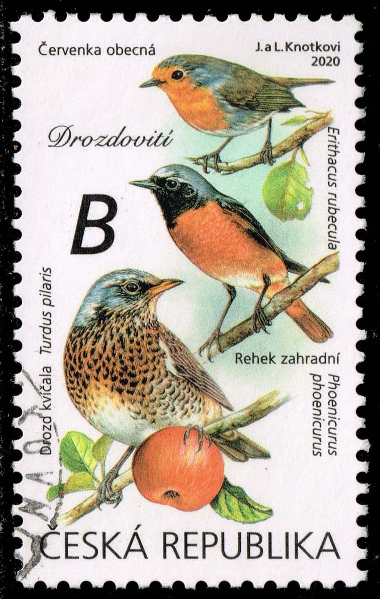 Czech Republic #3833 Turdidae; Used Czech Republic #3833 Turdidae; Used