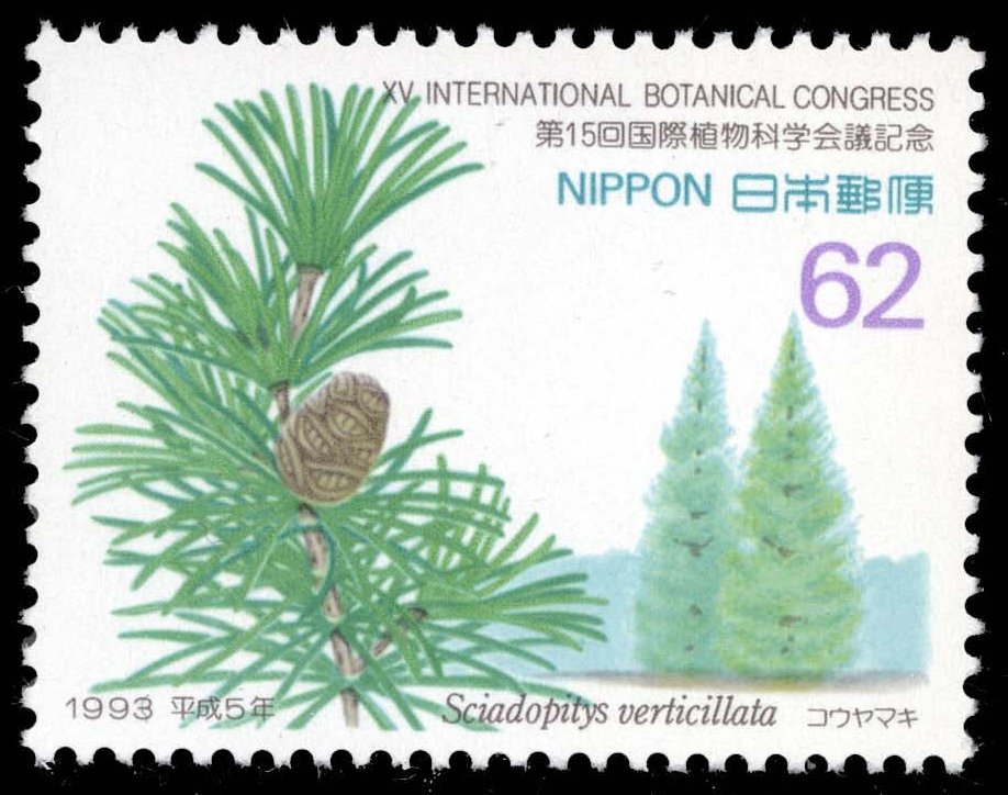 Japan #2207 Japanese Umbrella Pine; MNH Japan #2207 Japanese Umbrella Pine; MNH