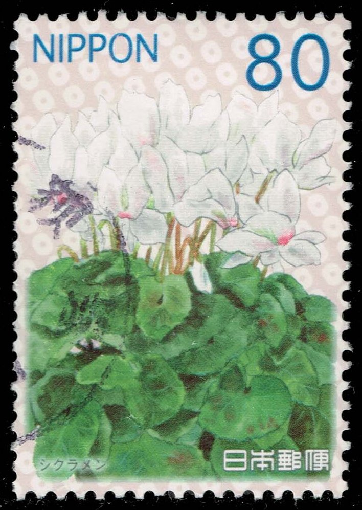 Japan #3504 Cyclamen; Used Japan #3504 Cyclamen; Used