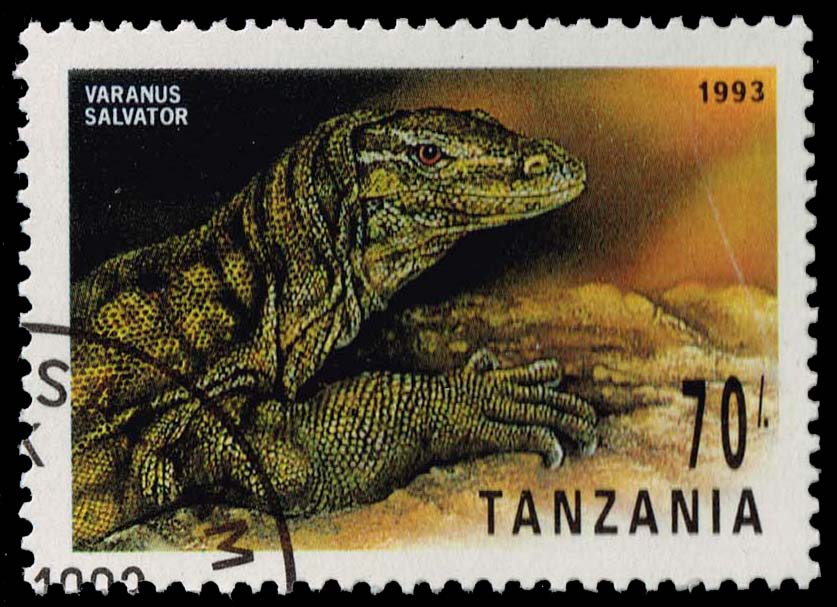 Tanzania #1130 Water Monitor; CTO Tanzania #1130 Water Monitor; CTO