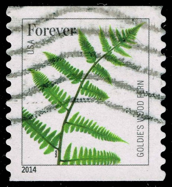 US #4877 Goldie's Wood Fern; Used US #4877 Goldie's Wood Fern; Used